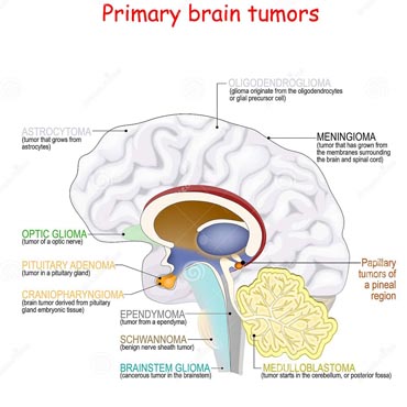 Dr. Pooja Nandwani Patel