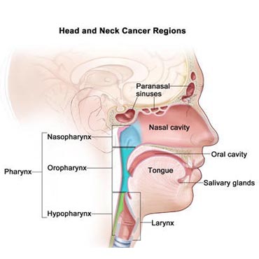 Dr. Pooja Nandwani Patel