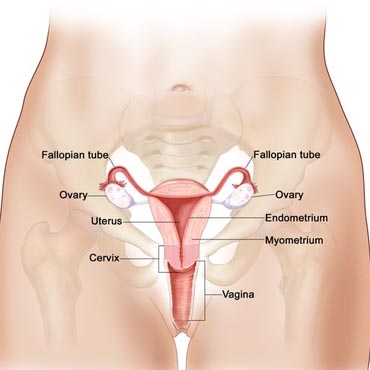 Dr. Pooja Nandwani Patel