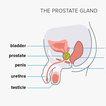 Dr. Pooja Nandwani Patel