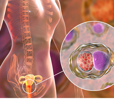 Dr. Pooja Nandwani Patel