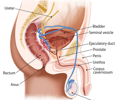 Dr. Pooja Nandwani Patel